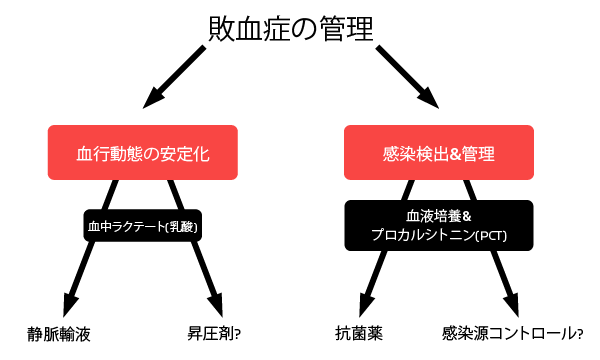 敗血症の管理(PCT･ラクテート)